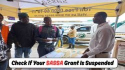 Over 15,000 SASSA Grants Suspended in 2025 β Check If Yours Is Affected