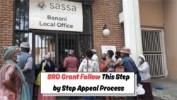 SASSA SRD Appeal 2025: Step-By-Step Guide To Recover Your Denied Grant