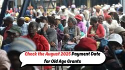 August SASSA Old Age Grant Payout Date Revealed – Millions Await Payments!