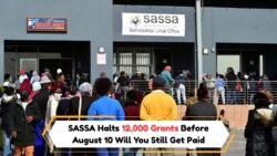 SASSA Suspends 12,000 Grants Before August 10: R2,350 Payments In Jeopardy