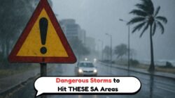 South Africa Weather Warning: Disruptive Rain And Winds Expected In THESE Areas